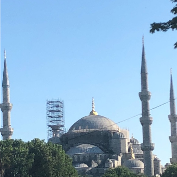 Meet your Posher, Unique Dresses! - Picture 11 of 16